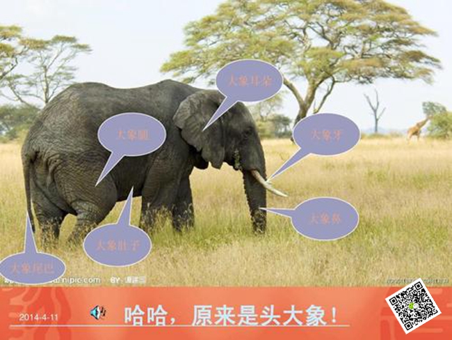 拓展訓練活動 拓展訓練活動