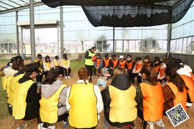 團隊拓展訓練活動 團隊拓展訓練活動