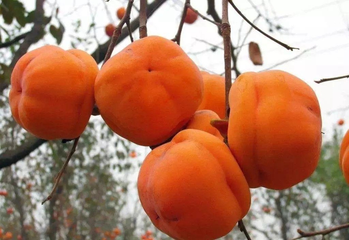 團隊拓展訓練 團隊拓展訓練